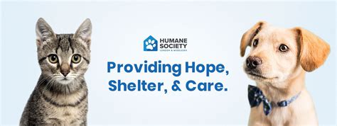 More Ways To Give Humane Society London And Middlesex