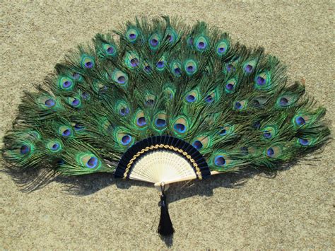Large Peacock Feather Fan 20 By 36 Inches Made To Order