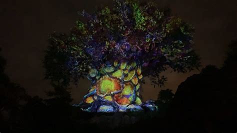 Photos Video New Holiday Tree Of Life Awakenings Show Lights Up The