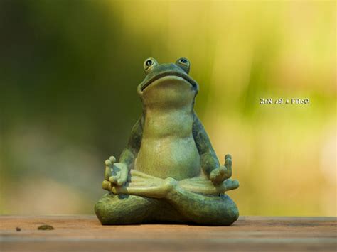 Zen As A Frog Zen Is