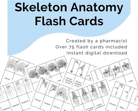 Skeletal System Flash Cards Printable Digital Download Med School Test