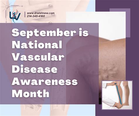 National Vascular Disease Awareness Month Jenna Wishnew Md Facs