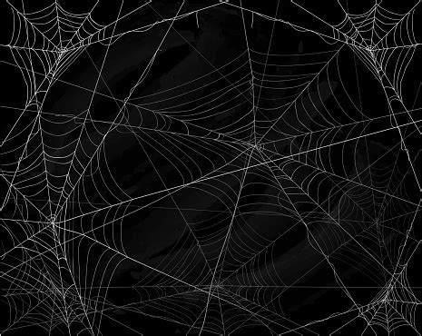 Using a large image as a background creates an impact on the user; Black Halloween Background With Spiderwebs Stock ...
