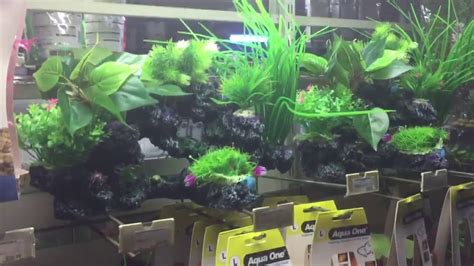There Has Been Huge Progress With Fake Aquarium Plants Youtube