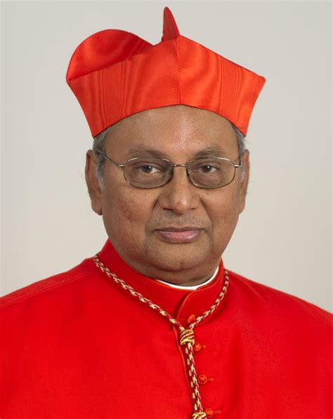 Un battement d'aile de papillon et une mère au foyer attrape une chlamydia. Sri-Lanka : le cardinal Ranjith pour la rémunération des ...