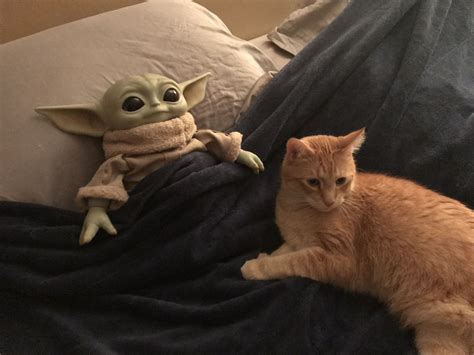 Baby Yoda Hanging Out In Bed With His Buddy Percy Star Wars Comics