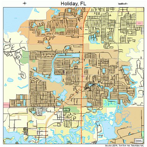 Holiday Florida Street Map 1231075