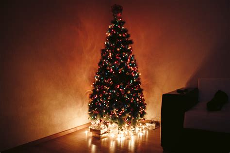 Free Images Christmas Tree Christmas Decoration Christmas Lights
