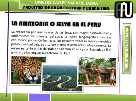 Flora Y Fauna De La Selva Peruana Y Sus Caracteristicas Resumen E Images