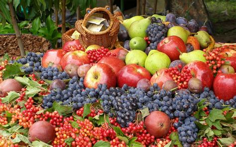 Fruit Myths And Reality Nutrition