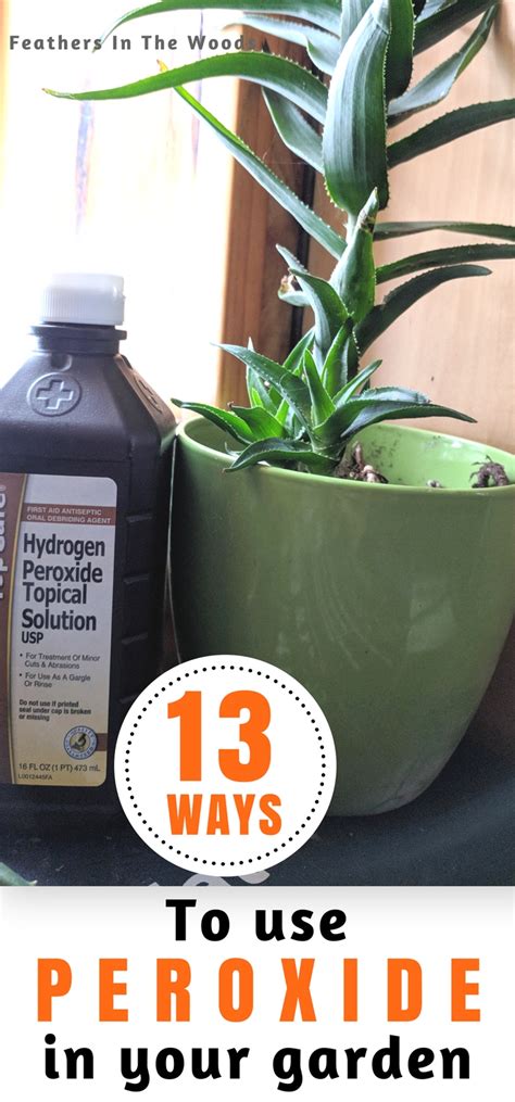 Is it good to put hydrogen peroxide in soil? 13 uses for peroxide in the garden (and on houseplants ...
