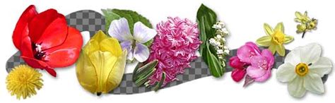 Is the merriwick flower real : Photo Real Flower Icons © Robin Wood