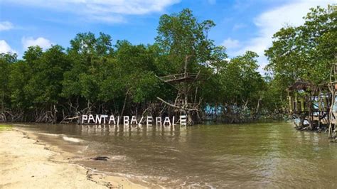 Indonesia memiliki taman safari yang tersebar di beberapa tempat, sesuai dengan habitat hewan. Htm Pantal Sigandu Batang : Pantai Lombang 🏖️ HTM, Rute ...