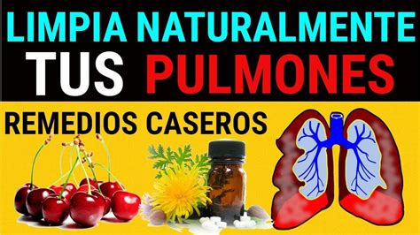 Los Mejores Remedios Caseros Y Naturales Para Limpiar Los Pulmones Youtube