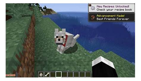 More Dogs Mod 1.15.2/1.14.4 (More Dog Breeds to Minecraft) - 9Minecraft.Net