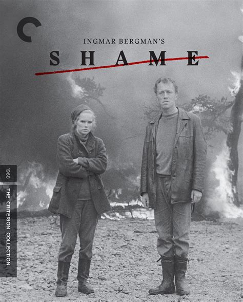 Shame 1968 The Criterion Collection