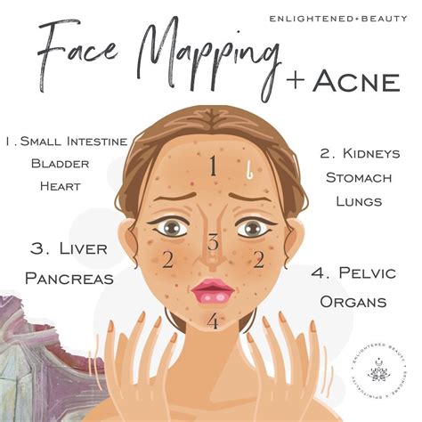 Face Mapping For Acne Enlightened Beauty By Morgan Elizabeth