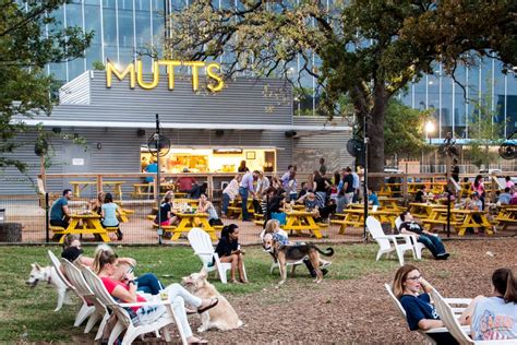 Mutts Canine Cantina Coming To Allen Plano Magazine