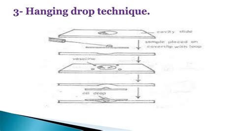 Ppt Practical No 4 Hanging Drop Technique Powerpoint Presentation