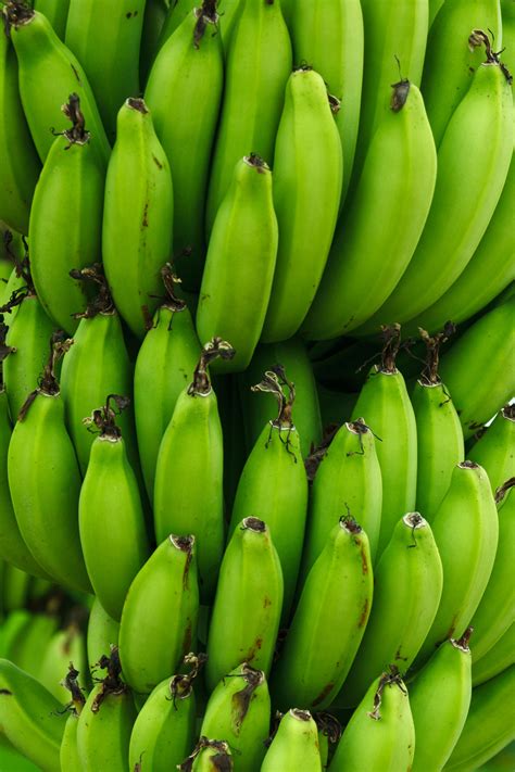 Green Bananas Background Free Stock Photo Public Domain Pictures