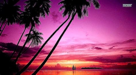 On a computer it is usually. 39+ Pink Beach Sunset Wallpaper on WallpaperSafari