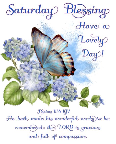 Butterfly Saturday Blessing Have A Lovely Day Pictures Photos And