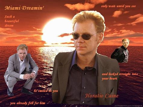 This basicly pokes fun at just how intense horatio is. Horatio - CSI: Miami Wallpaper (1323492) - Fanpop