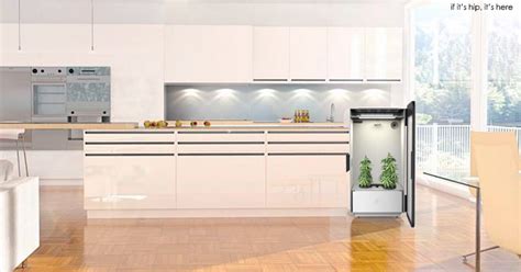 Find kitchen cabinets and more to make. Marijuana Grow Boxes Go High Tech: Leaf Cannabis Home Growing System - if it's hip, it's here