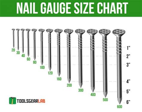 Nail Size Chart Different Nail Sizes Gauge And Diameters Toolsgearlab