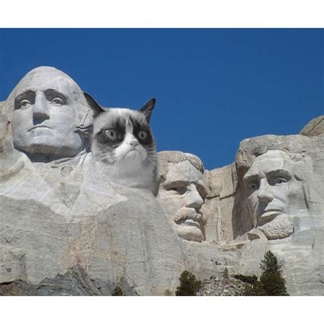 Internet Sensation Grumpy Cat Died But Her Memes Shall Live On