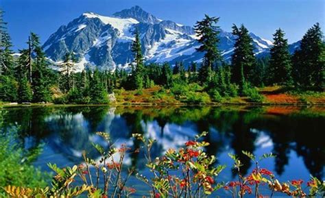 Mountain Lake Trees And Flowers Beautiful Images