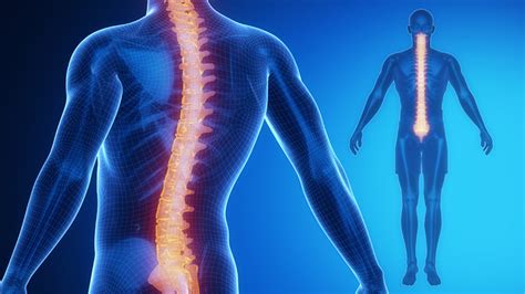 Is Chiropractic Care Considered Preventive Advanced Chiropractic