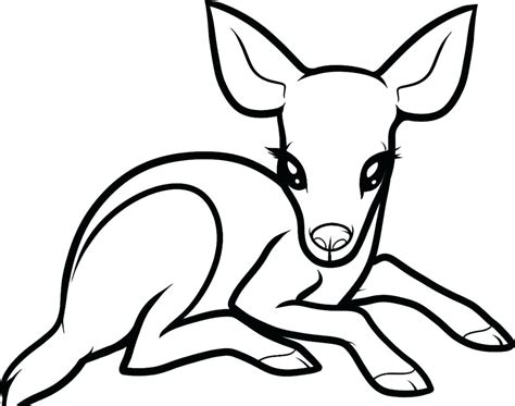 Six of the monster high characters have been classified as original ghouls by the official website. White Tailed Deer Drawing at GetDrawings | Free download