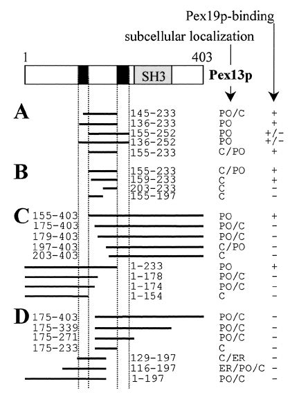 Pex13p Contains Multiple Partially Functional Sorting Sig Nals A To