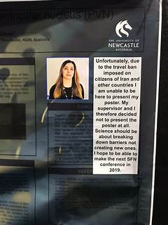 Exclusive Why Wny Travel Ban Is Creating Buzz %e2%80%93 Essential Details Inside %e2%80%93 The Untold Secrets Revealed