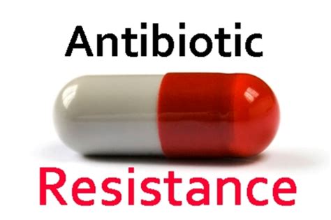 5 Ways For Antibiotic Resistance Prevention Just