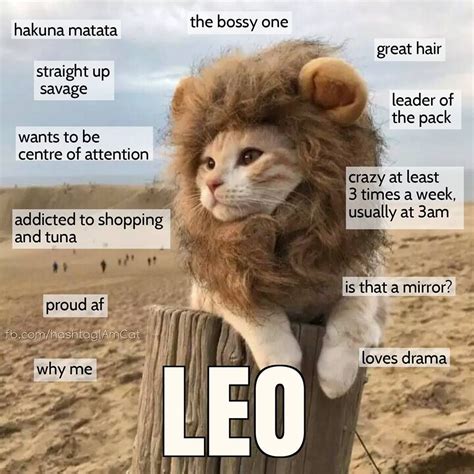 Funny Leo Zodiac Memes Funny Png