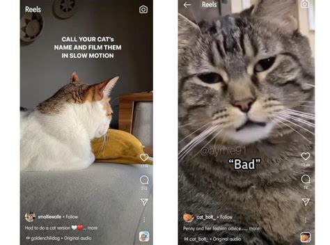 What Is Instagram Reels And How To Use It Like A Pro!