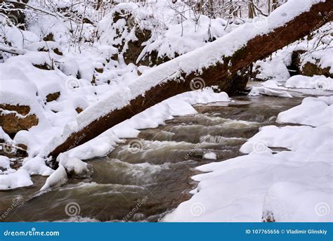 Mountain Stream In Winter Stock Photo Image Of Climate 107765656