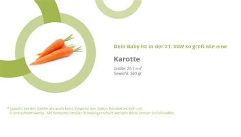 Ssw ❤ alle informationen zur entwicklung beim baby, sowie größe & gewichtszunahme im bauch der mutter und zum ultraschall. 21. SSW - die 21. Schwangerschaftswoche (Tag 141-147)