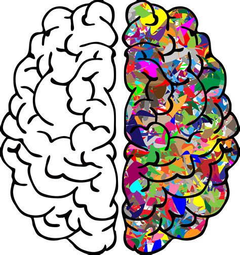 Brain Png Free Download On Clipartmag