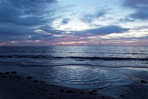 Pink Sunrise On South Florida Beach Stock Photo Image Of Florida