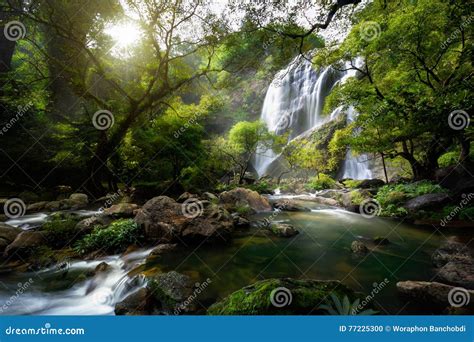Mountain Stream And Waterfall Stock Photo Image Of Cascade Green