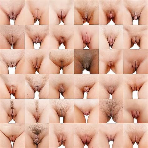 Nude Comparisons Pics Xhamster