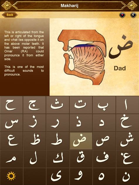 Pin by MsJ on ☪️Learn Arabic☪️ | Learning arabic, Learn arabic alphabet ...