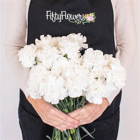 Bulk Flowers Fresh White Carnations Oriental Trading
