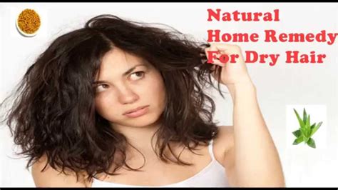 Especially in the autumn, dry weather, sunshine, and winds make the hair more easily dry fiber and split ends. DIY Hair Mask for dry & damaged hair | Natural Home remedy ...