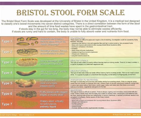 Bristol Stool Form Scale Inside And Out