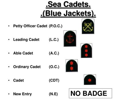 Ppt Ranks And Rates Within The Sea Cadets Powerpoint Presentation