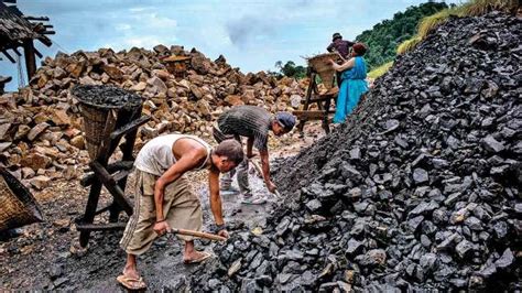 Govt Sells 319 Of Coal India Gets Rs 5300 Crore